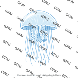 Jelly medusa
