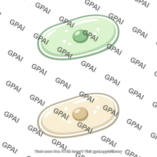 Single celled organism