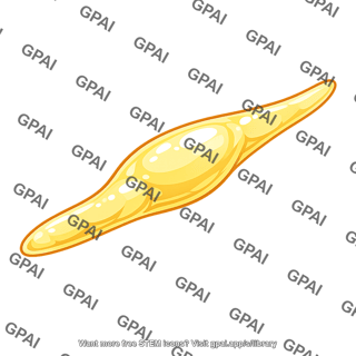 Oil filled body
