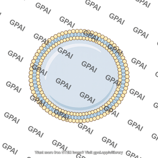 Cell like membrane