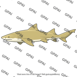Lemon shark
