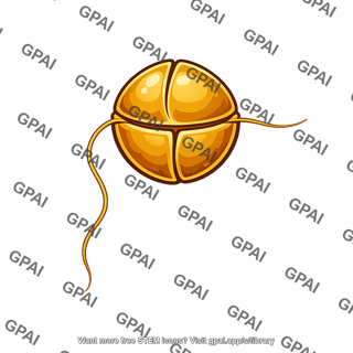 Dinoflagellate alga