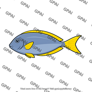 Yellowfin doctorfish