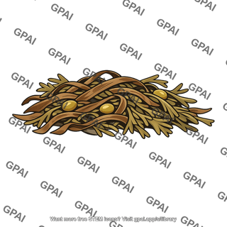 Seaweed wrack