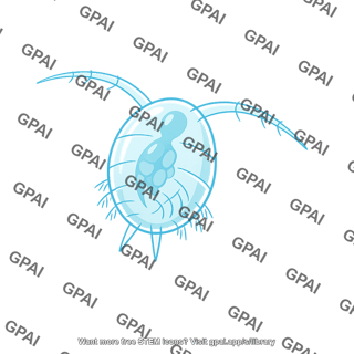 Planktonic organism
