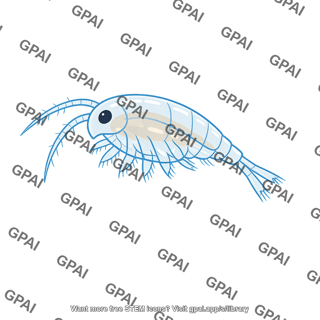 Zooplankton
