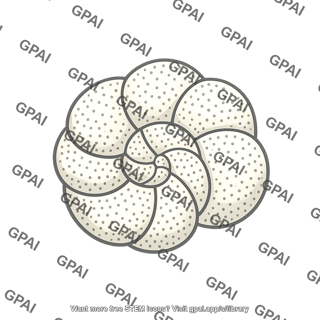Foraminifer shell