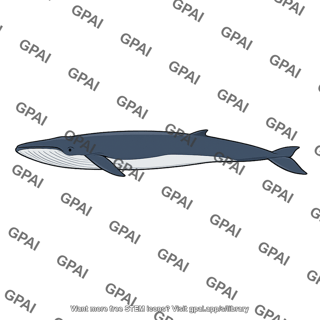Great whale