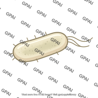 Bacterium