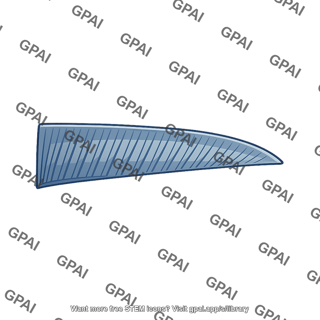 Fish fin anal