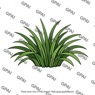 Surf grass coarse tuft
