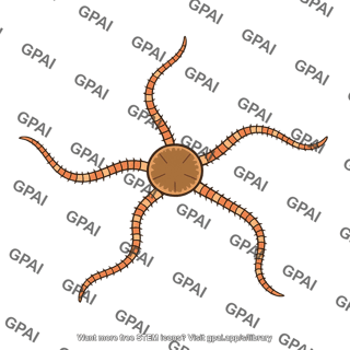 Brittle star