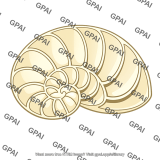 Internal chambered structure
