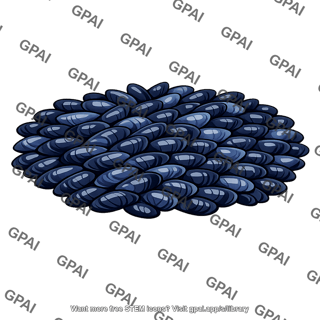 Blue mussel bed