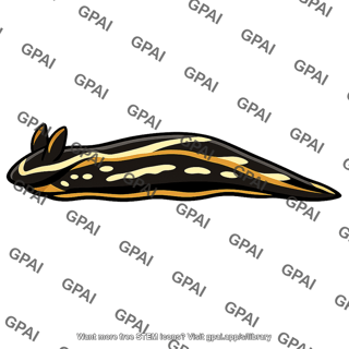 Sea slug navanax