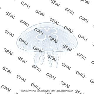 Moon jelly transparent