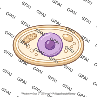 Fungal cell