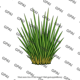 Marsh grass