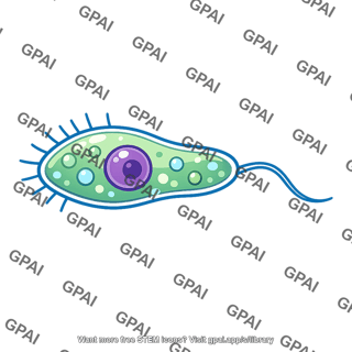 Protoctist