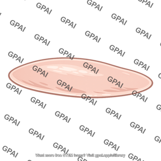 Gastropod foot