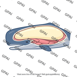 Spermaceti organ in head