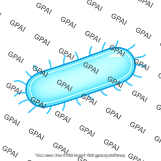 Luminescent bacterium