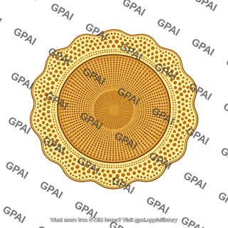 Diatom planktoniella sol