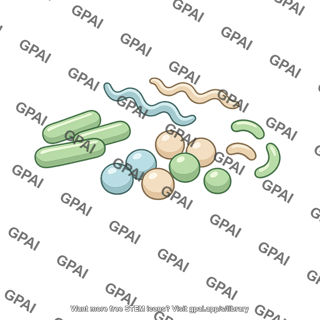 Bacteria