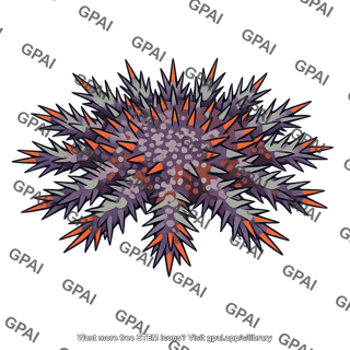 Crown of thorns sea star
