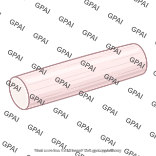 White muscle fiber