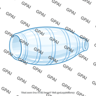 Salp