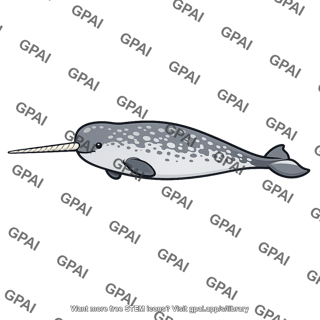 Narwhal male