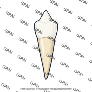 Tooth