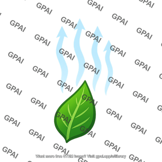 Transpiration