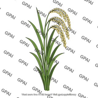 Rice plant