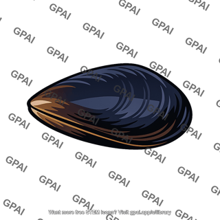Mussel or clam shellfish