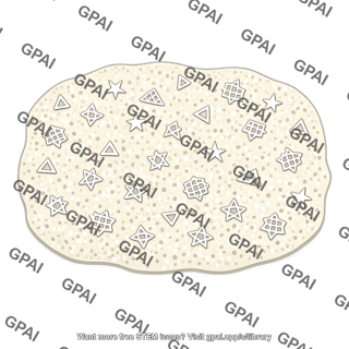 Silicoflagellate ooze