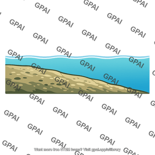 Subtidal zone