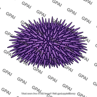Purple sea urchin