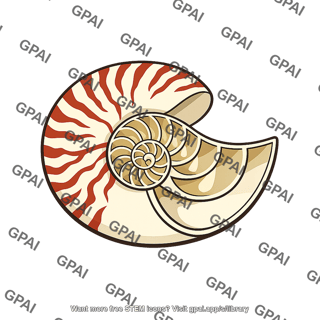 Nautilus shell
