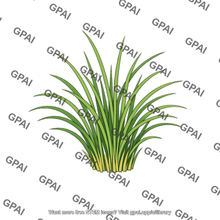 Coastal grass