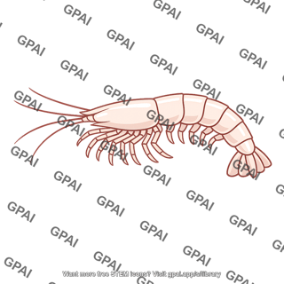Shrimp eyeless