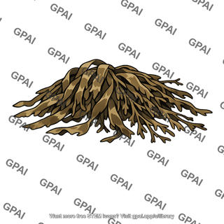 Dead seaweed