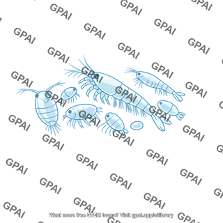 Zooplankton cluster