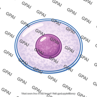 Cell nucleus