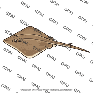 Stingray