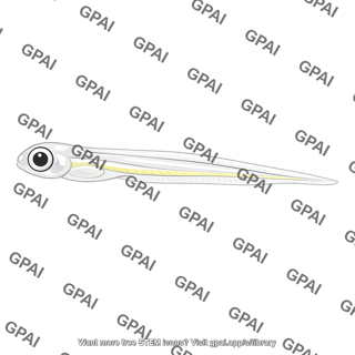 Grunion larva