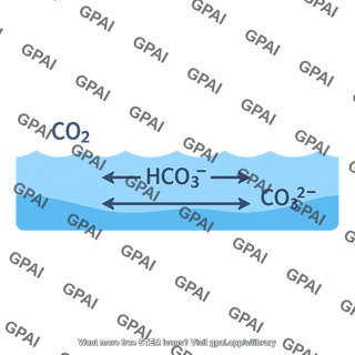 Ocean buffering system