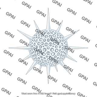 Radiolarian skeleton