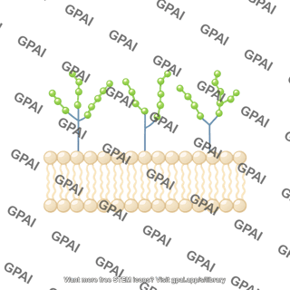 Yeast cell wall brush preset